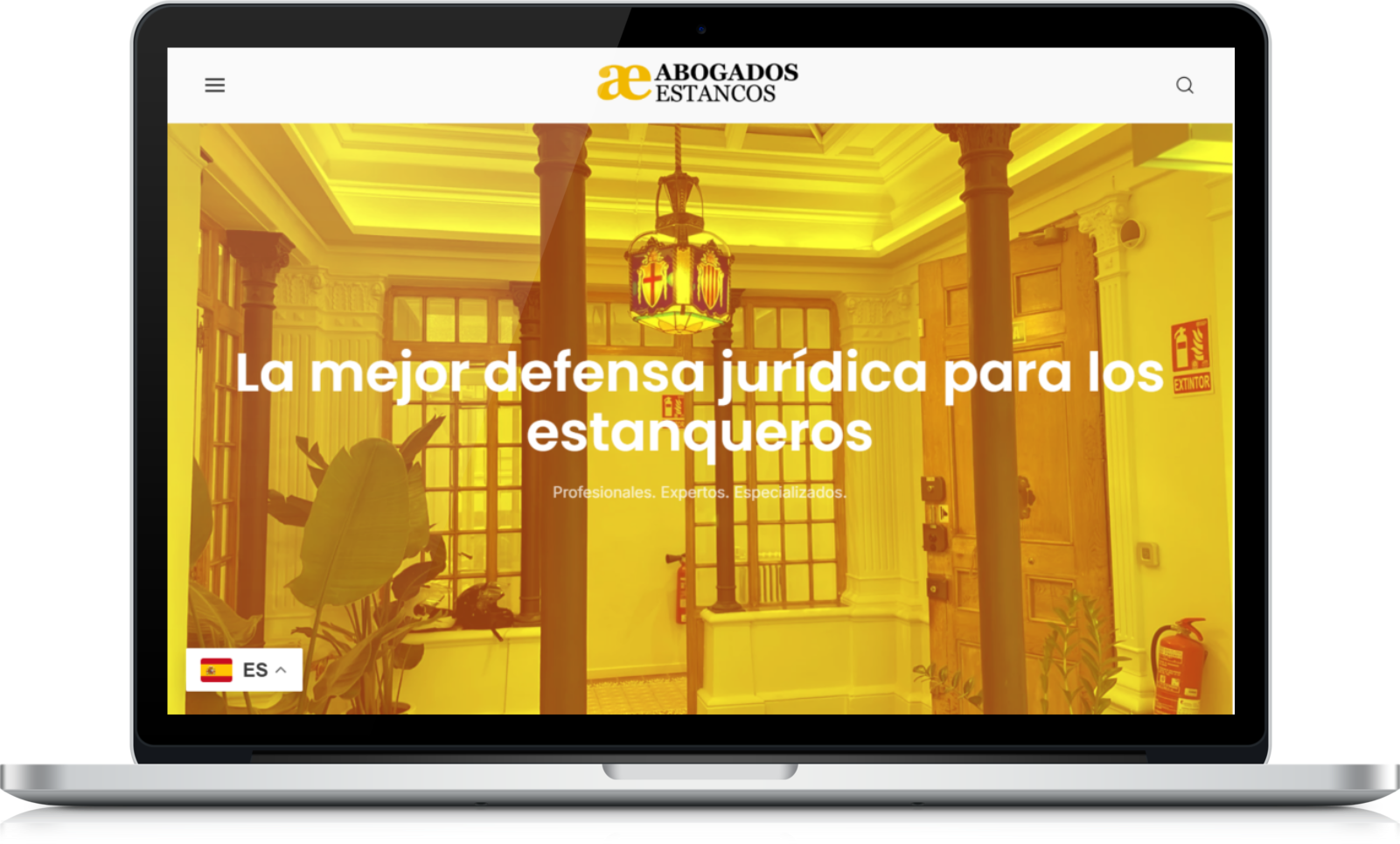Diseño web 29 Diseño web